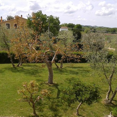 Il Punto Verde SantʼAntonio Εξωτερικό φωτογραφία