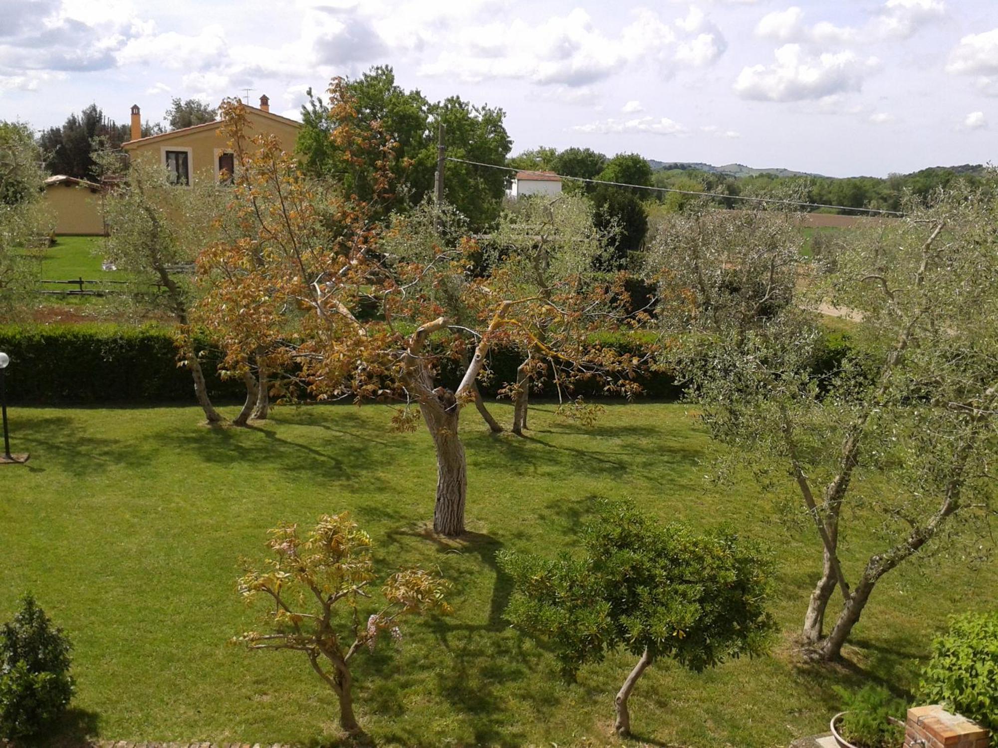 Il Punto Verde SantʼAntonio Εξωτερικό φωτογραφία
